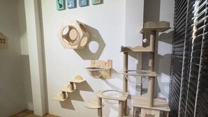 Un arbre à chat à plusieurs niveaux, doté de différentes plateformes et d’un jouet suspendu, placé devant un mur uni, agrémenté d’une petite étagère et d’un tableau encadré.