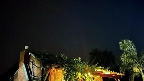 A night scene of a building with a brick structure and a thatched roof, surrounded by greenery and palm trees.