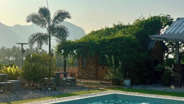 A swimming pool with a stone border, surrounded by a garden with various plants and a wooden fence.