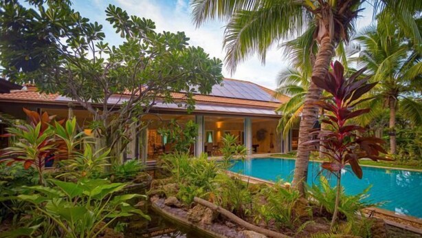 Un resort con piscina rodeada de plantas tropicales y una palmera.