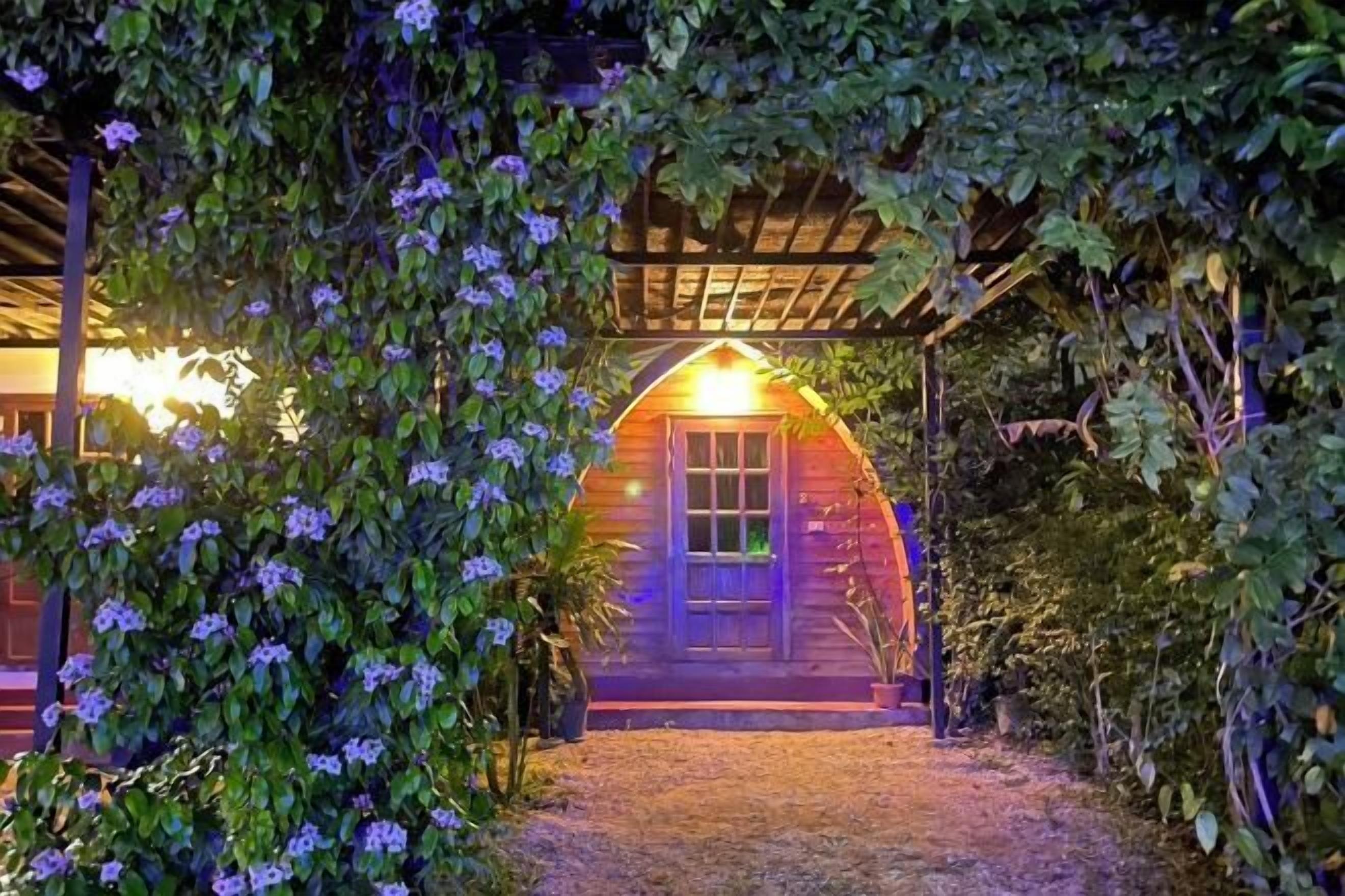 المنشأة من الخارج