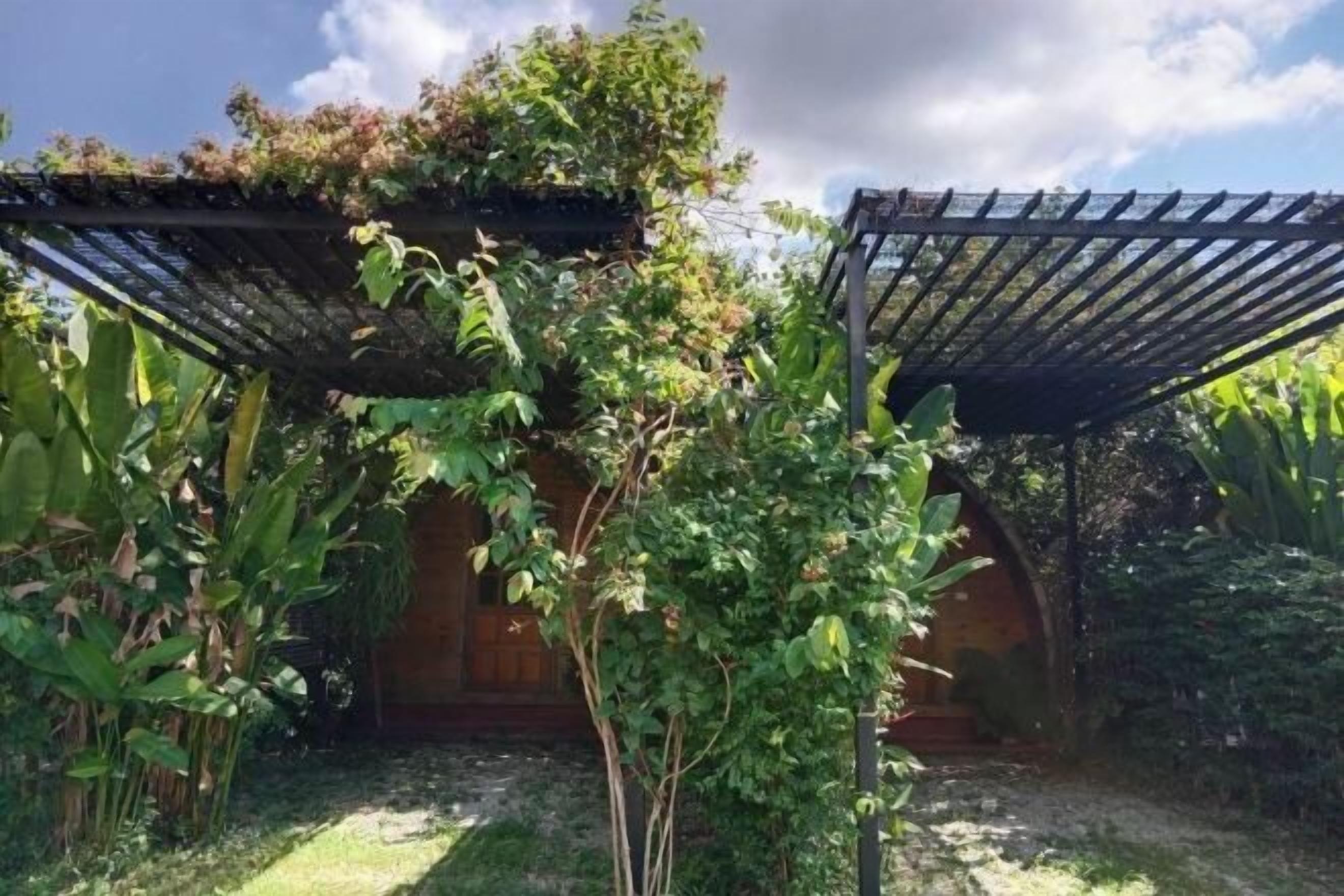 المنطقة المحيطة بالمنشأة