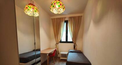 Sanseveria Apartment