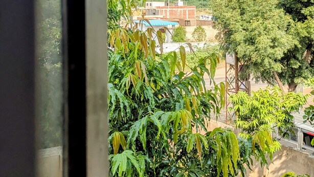 A view through a window with a metal frame, featuring a green landscape with trees and a hill in the background. - Hare Krishna Hotel & Restaurant (Phulera)