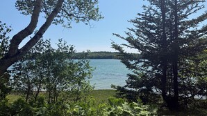 Eine natürliche Landschaft mit einem See, Bäumen und einer grünen Wiese.
