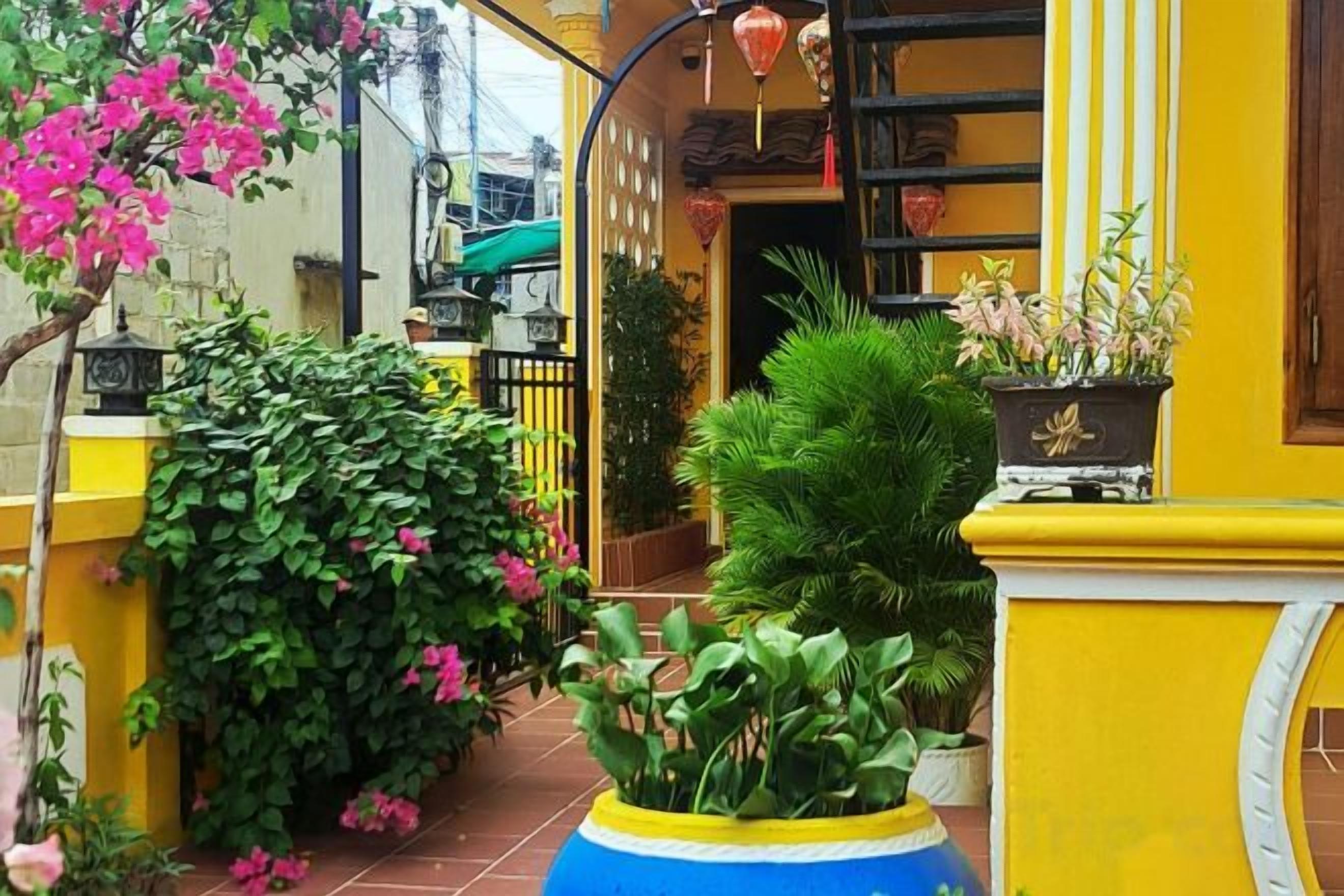 A courtyard with potted plants, a yellow wall, and a tiled floor.