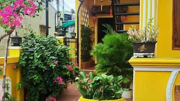 Un patio con plantas en macetas, una pared amarilla y un piso de baldosas.