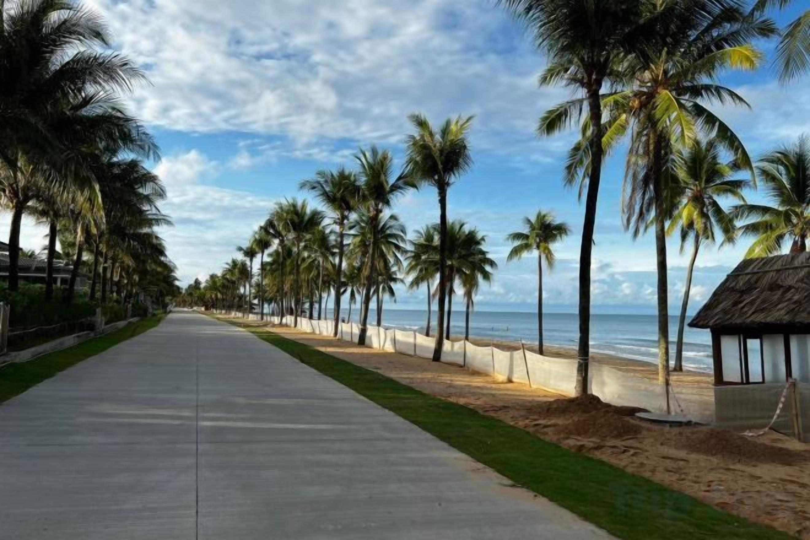 A coastal walkway lined with palm trees and a beach on one side.