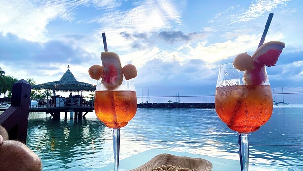 Two cocktails with fruit garnishes on a table by a waterfront, with a thatched-roof structure and palm trees in the background. - Les Alizés Joli Studio sea view beach walk Anse Mitan Trois ILETS (Trois Ilets)