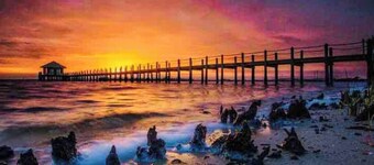 Bright, Beautiful Modern Home minutes from Warm Mineral Springs and Beaches