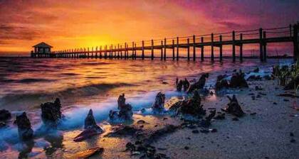 Bright, Beautiful Modern Home 5 minutes from Warm Mineral Springs.