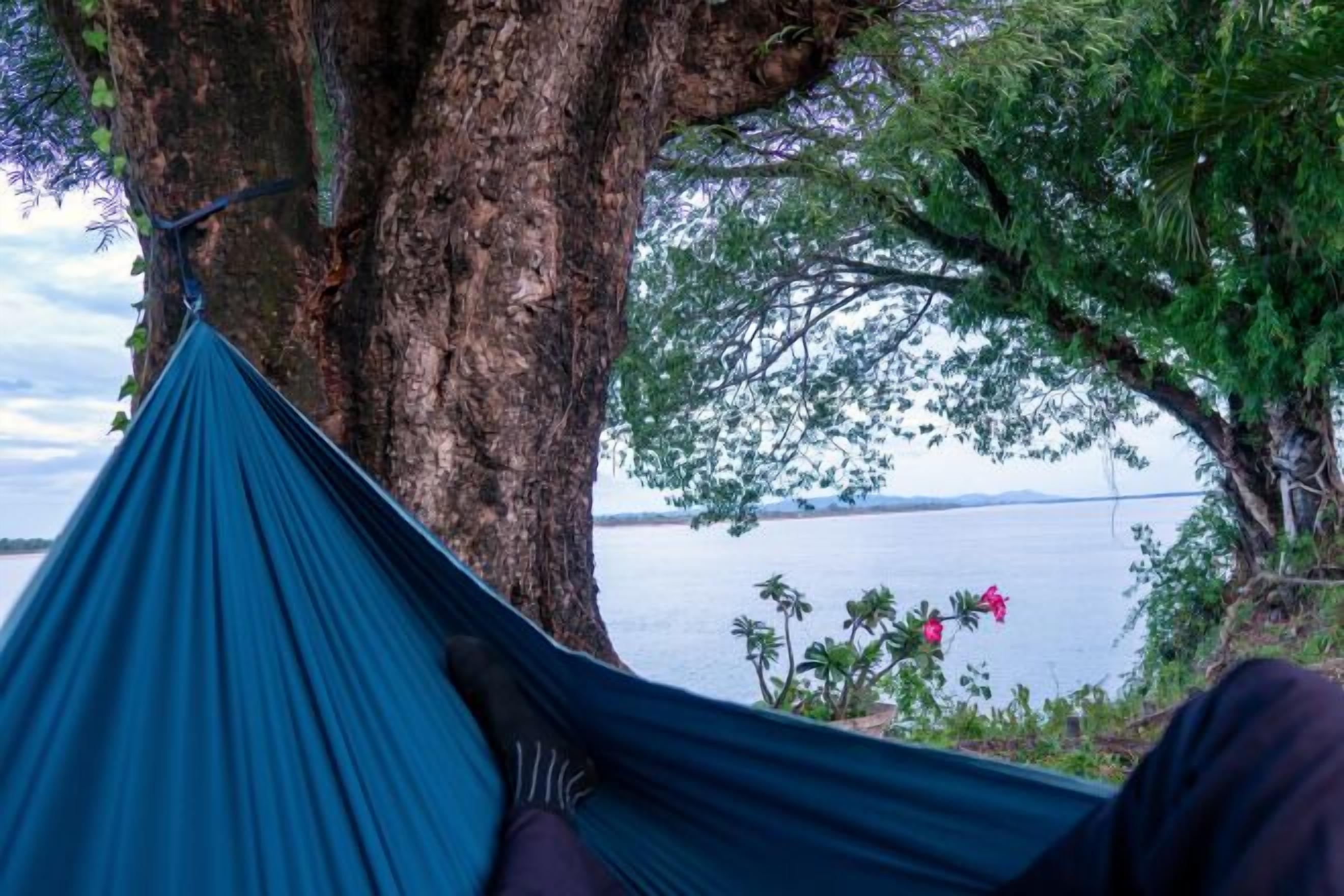 A hammock tied to a tree by a body of water with a view of the water and foliage.