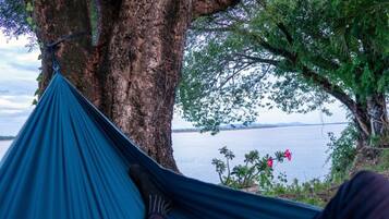 A hammock tied to a tree by a body of water with a view of the water and foliage.