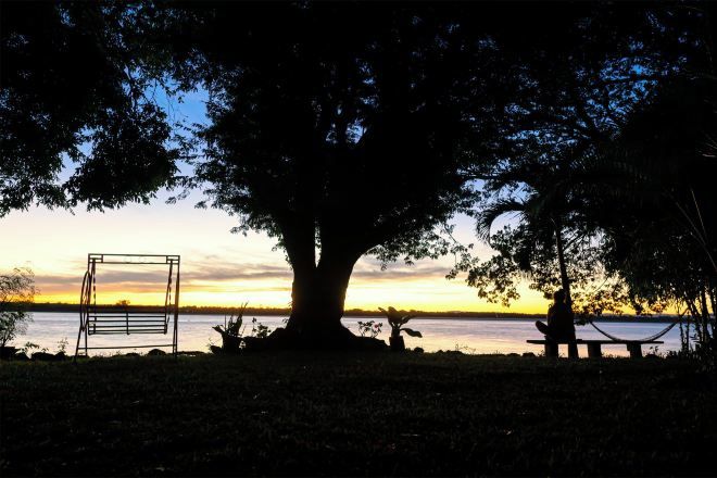 A large tree with a hammock and a swing set in a park setting.