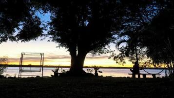 A large tree with a hammock and a swing set in a park setting.