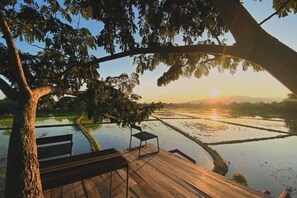 Room - Breathe - Rice Valley (San Sai)