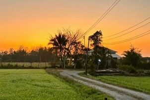 A rural landscape with a dirt road, green fields, and a house with a red roof.