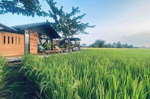 A wooden building with a covered outdoor seating area adjacent to a lush green field.