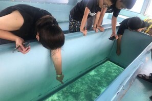 Un grupo de personas se asoma a una zona con ventanales, posiblemente una plataforma de observación, con vistas a una masa de agua.