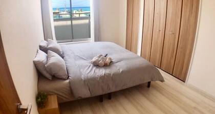 ZZOKIAI Premier Ou-A