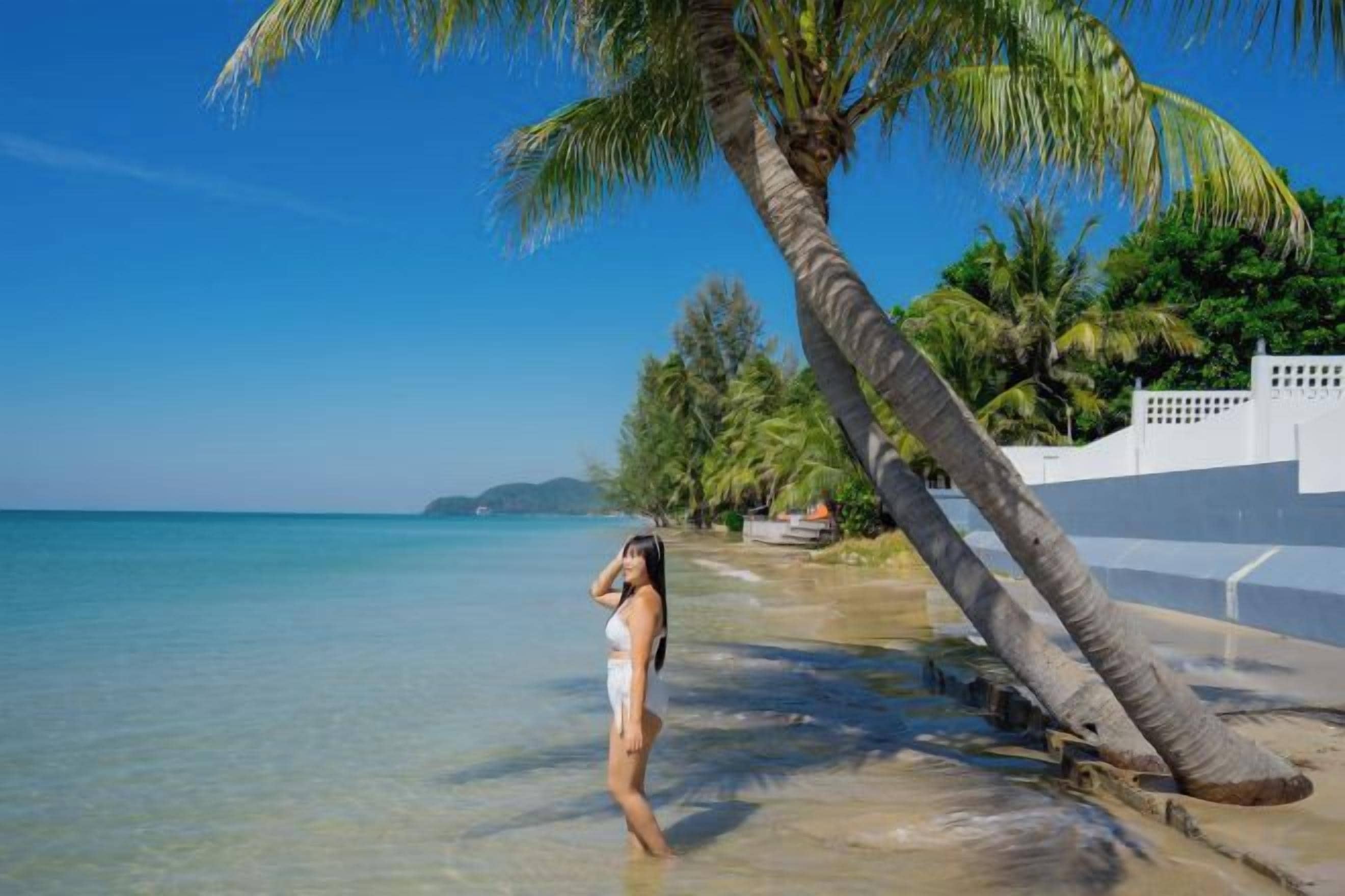 A beach scene with clear water, a palm tree, and a white building in the background.