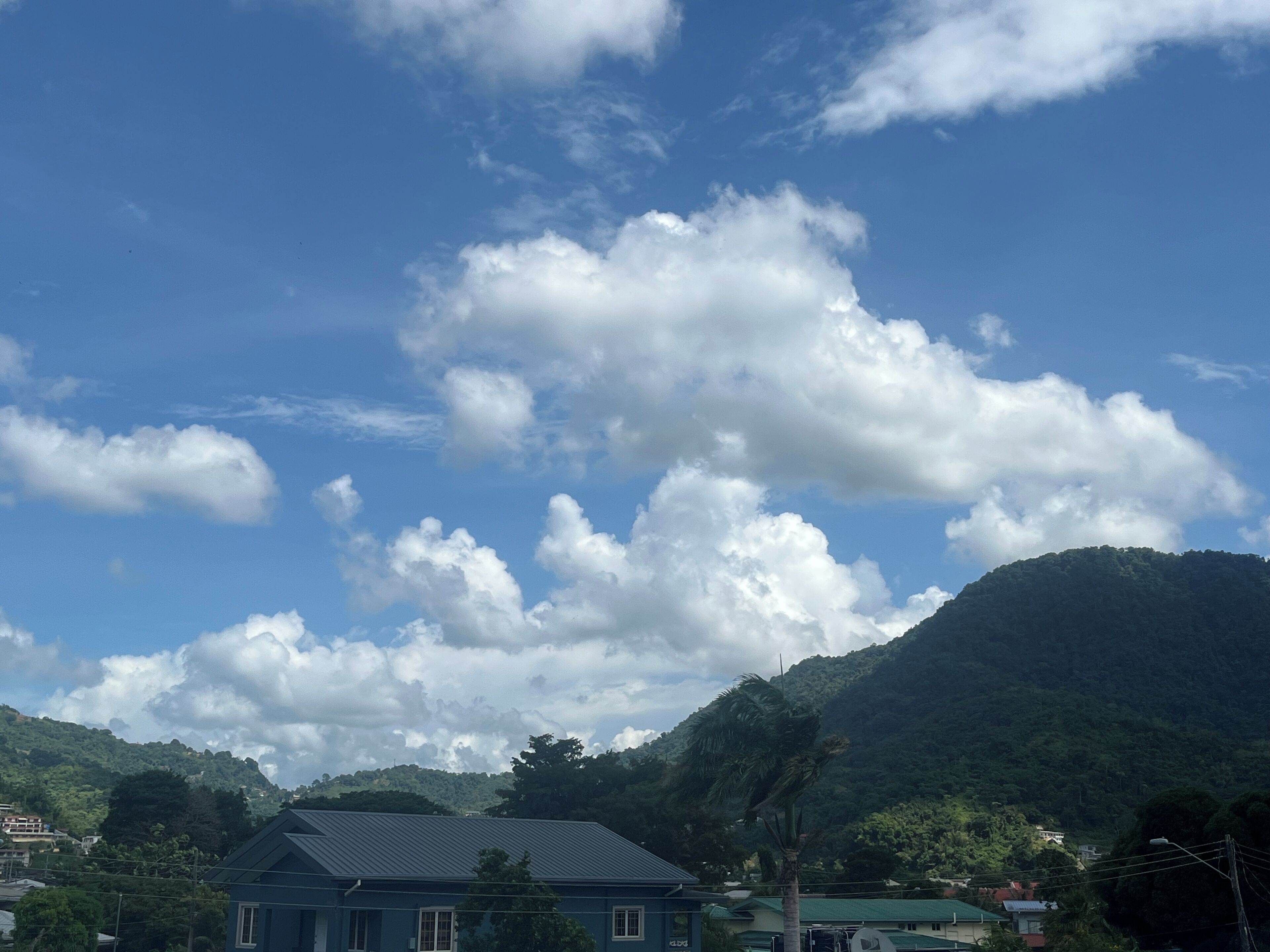 Une maison avec un toit bleu, entourée d’une végétation luxuriante et avec une montagne en arrière-plan.