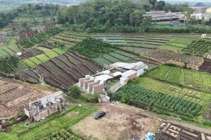 Exterior - Crazy Steak Villa Resort & Spa (Junrejo)