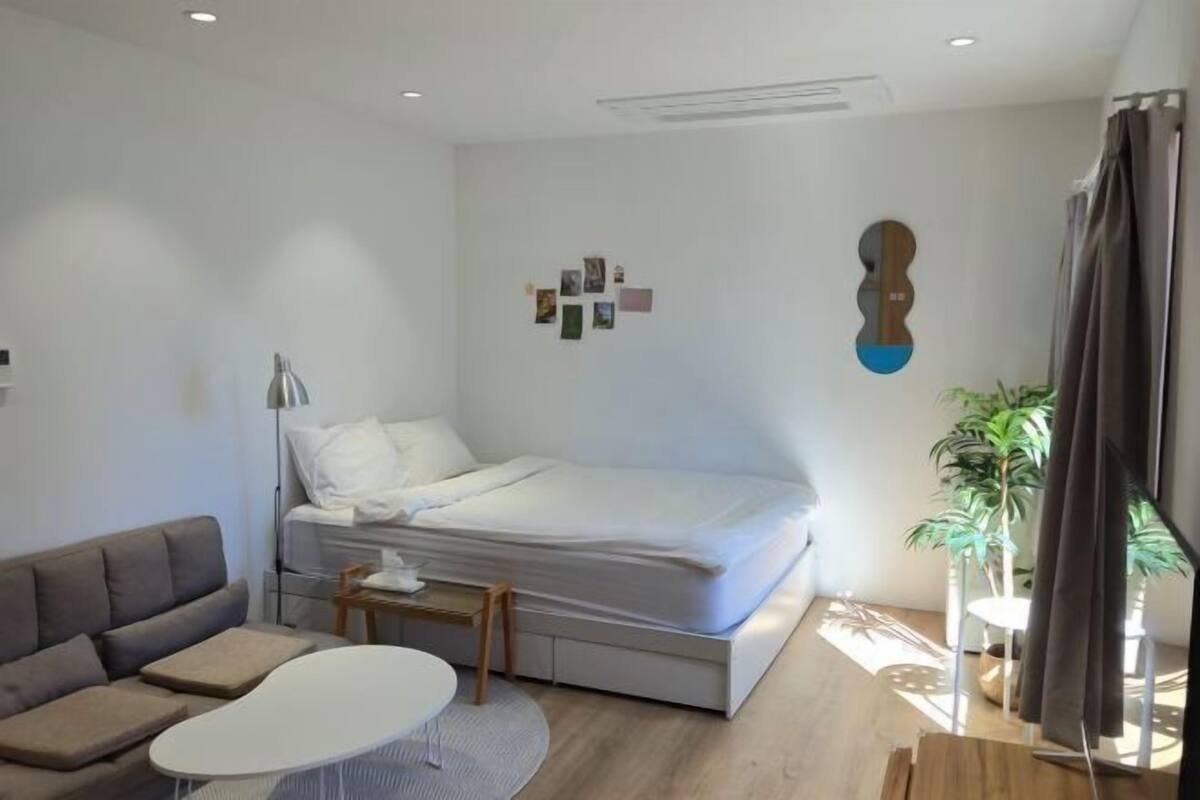 A modern bedroom with a bed, a sofa, a small table, and a potted plant.