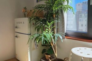 Room - CATNAP GUESTHOUSE (Busan)