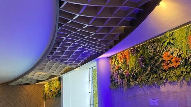 Una piscina con techo curvo y una pared decorada con plantas.