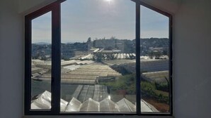 未分類圖片，第 4 張 (共 75 張)，按鈕