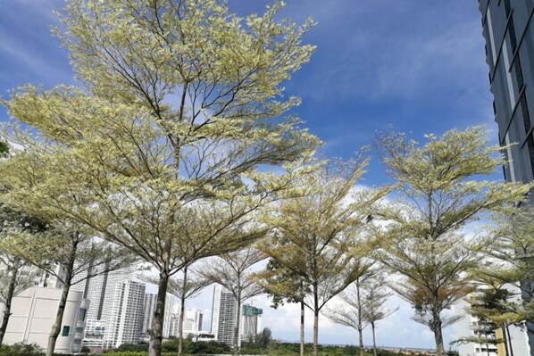 A row of trees with white blossoms in front of a modern building. - Landmark by Homey Planet 3BR Family Suite(A) (Tanjung Tokong)