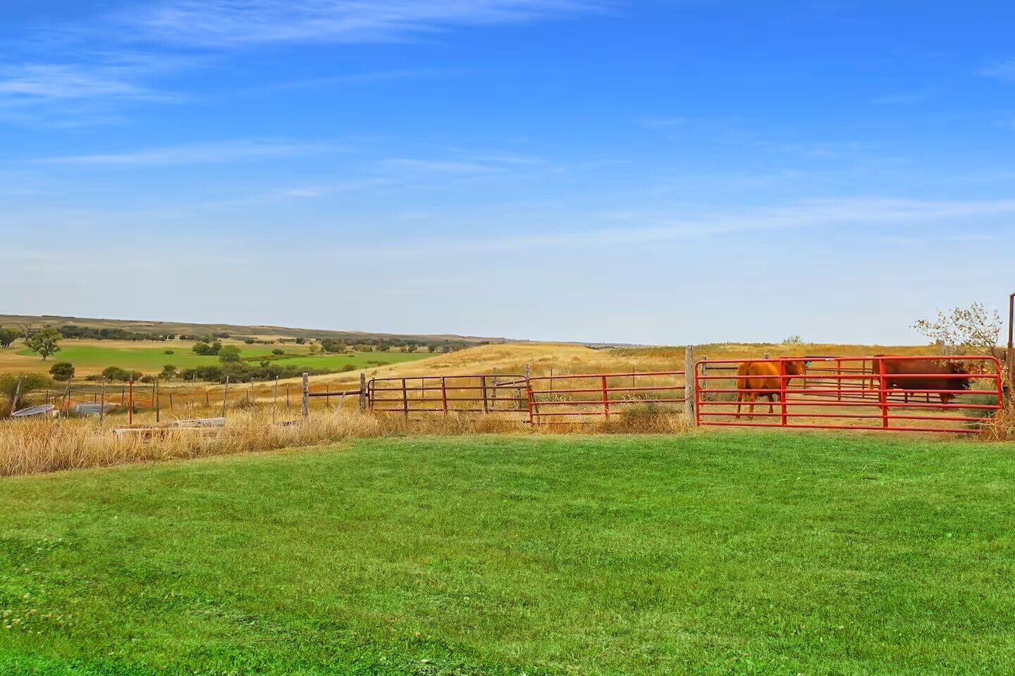A fenced pasture with a clear sky and distant hills.