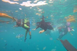 Unclassified image, 5 of 46, button - Aloha MABUL Scuba Lodge (Semporna)