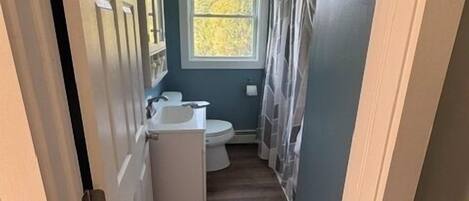 A narrow bathroom with a toilet, sink, and window.