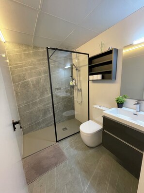 Dusche, Haartrockner, Handtücher, Seife