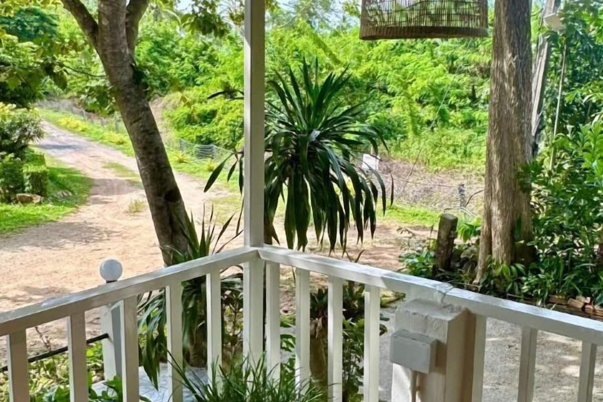 Vista de un jardín con un sendero, baranda blanca y abundante vegetación.