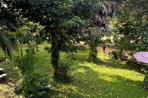Un jardín exuberante con diversas especies de árboles y arbustos, una mesa de picnic y un paraguas morado.