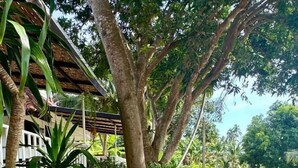 Gambar tidak terklasifikasi, 3 dari 189, tombol