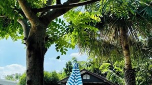 Une maison devant laquelle on voit une serviette bleue et blanche à rayures, suspendue à une branche d’arbre.