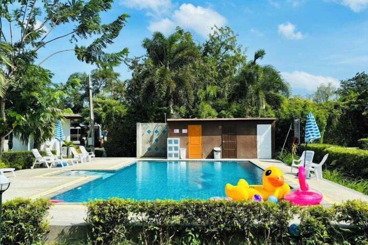 Una piscina con lettini, un piccolo edificio con una porta e un paperino di gomma giallo.