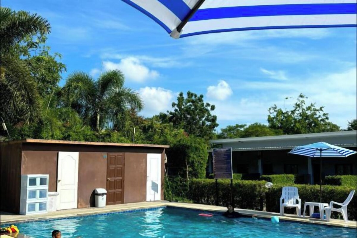A swimming pool with a blue and white umbrella, white lounge chairs, and a small building with a door and windows.