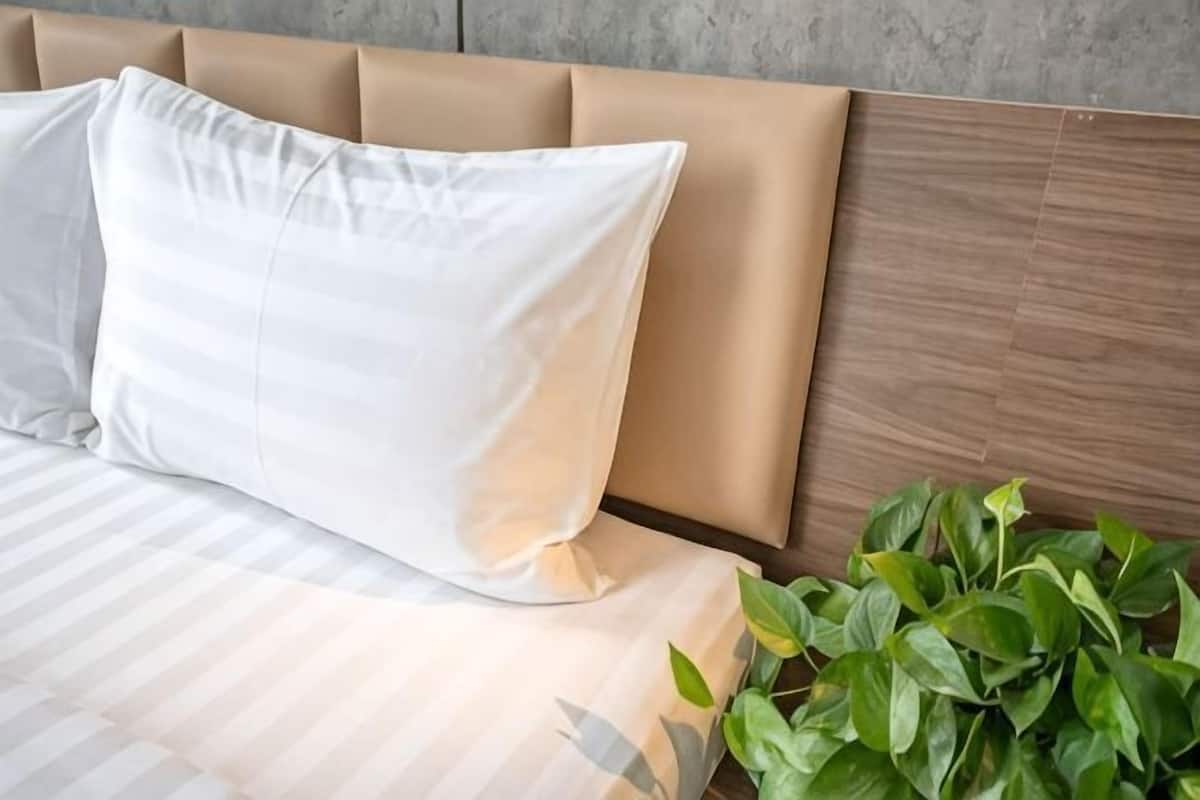 Ein Bett mit Kopfteil, einem weißen Kissen und einer Zimmerpflanze daneben.