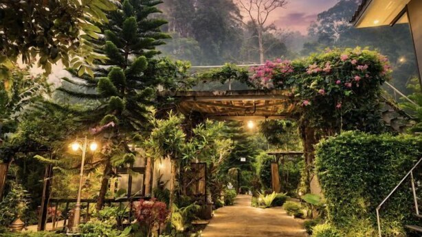 A garden pathway leading to a structure with a wooden archway, surrounded by lush greenery and plants. - Vrapat (Chiang Dao)