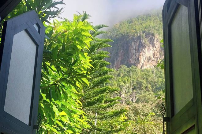 Vista a través de una ventana con una montaña y follaje denso al fondo.