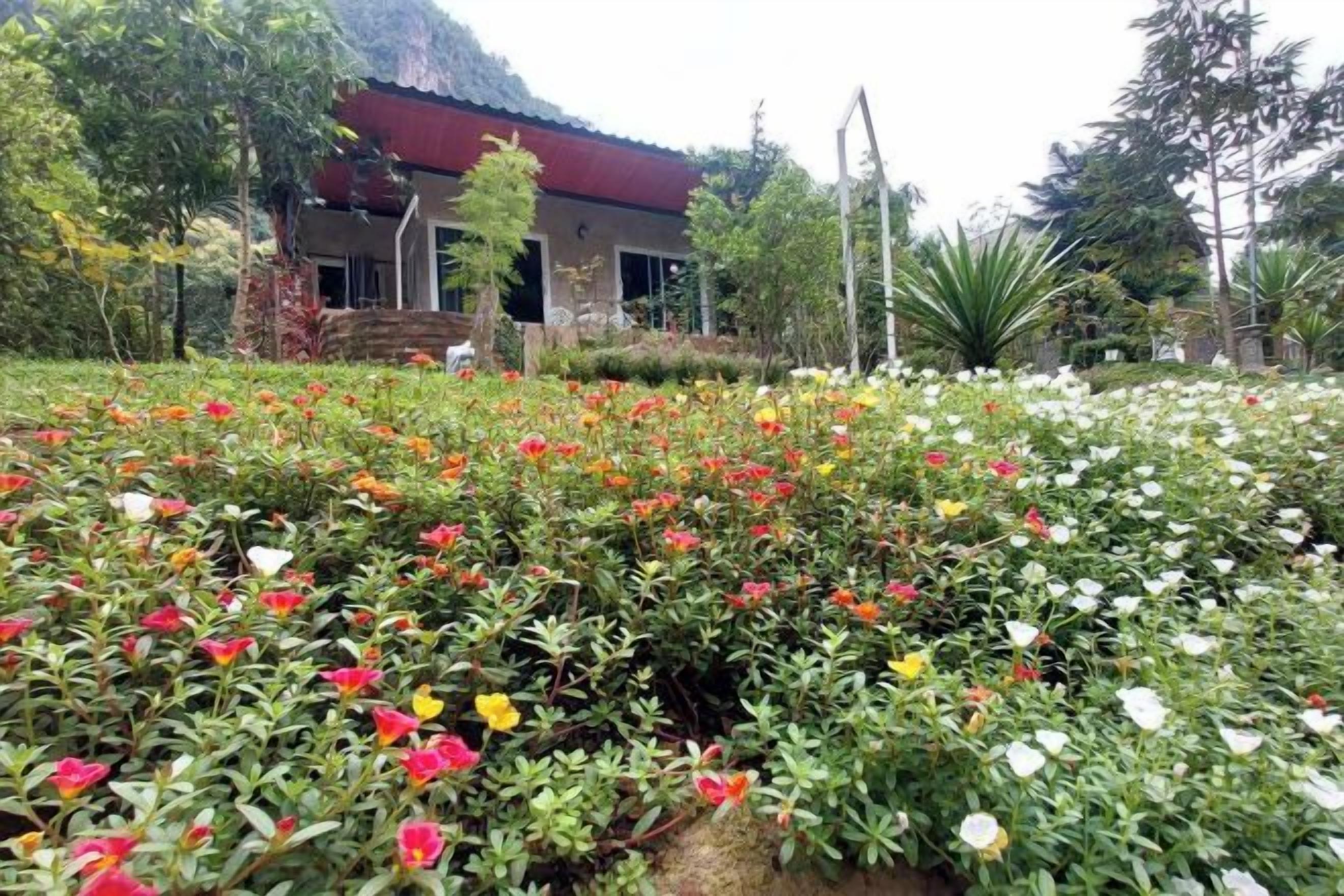 A building with a red roof and a garden with various flowers.