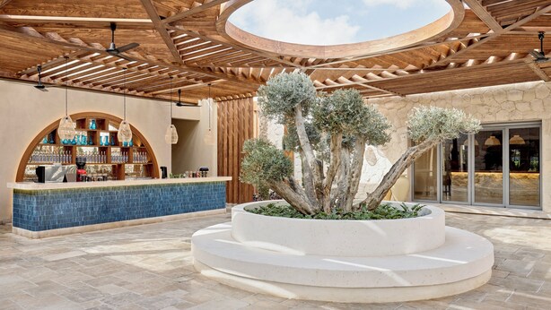 Un espace extérieur abrité doté d’un jardin central avec des arbres, d’un bar avec un comptoir recouvert de carreaux bleus et d’une structure de plafond en bois.