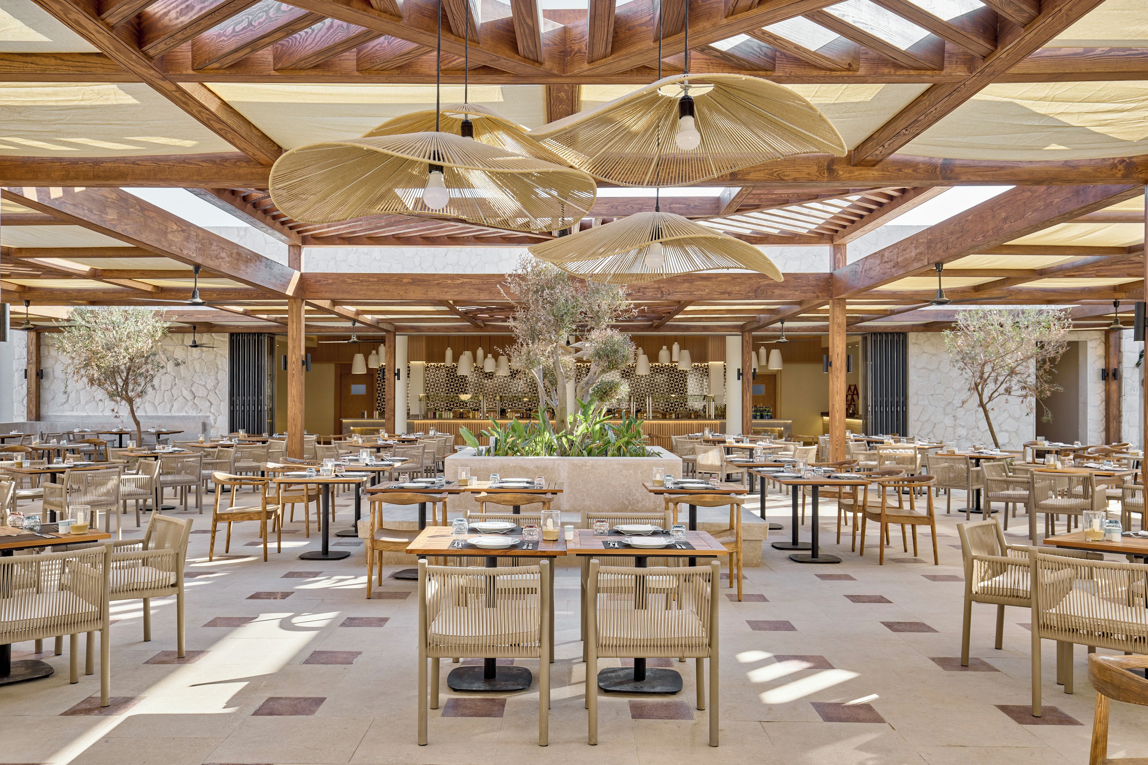A spacious indoor dining area with wooden tables and chairs, a central plant arrangement, and a high wooden ceiling with natural light.