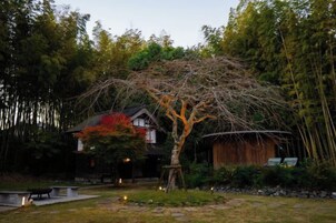 Un árbol en un jardín con un edificio al fondo.