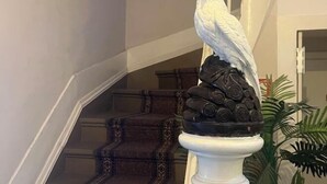 Un escalier orné d’une sculpture d’oiseau blanc, posée sur un piédestal.
